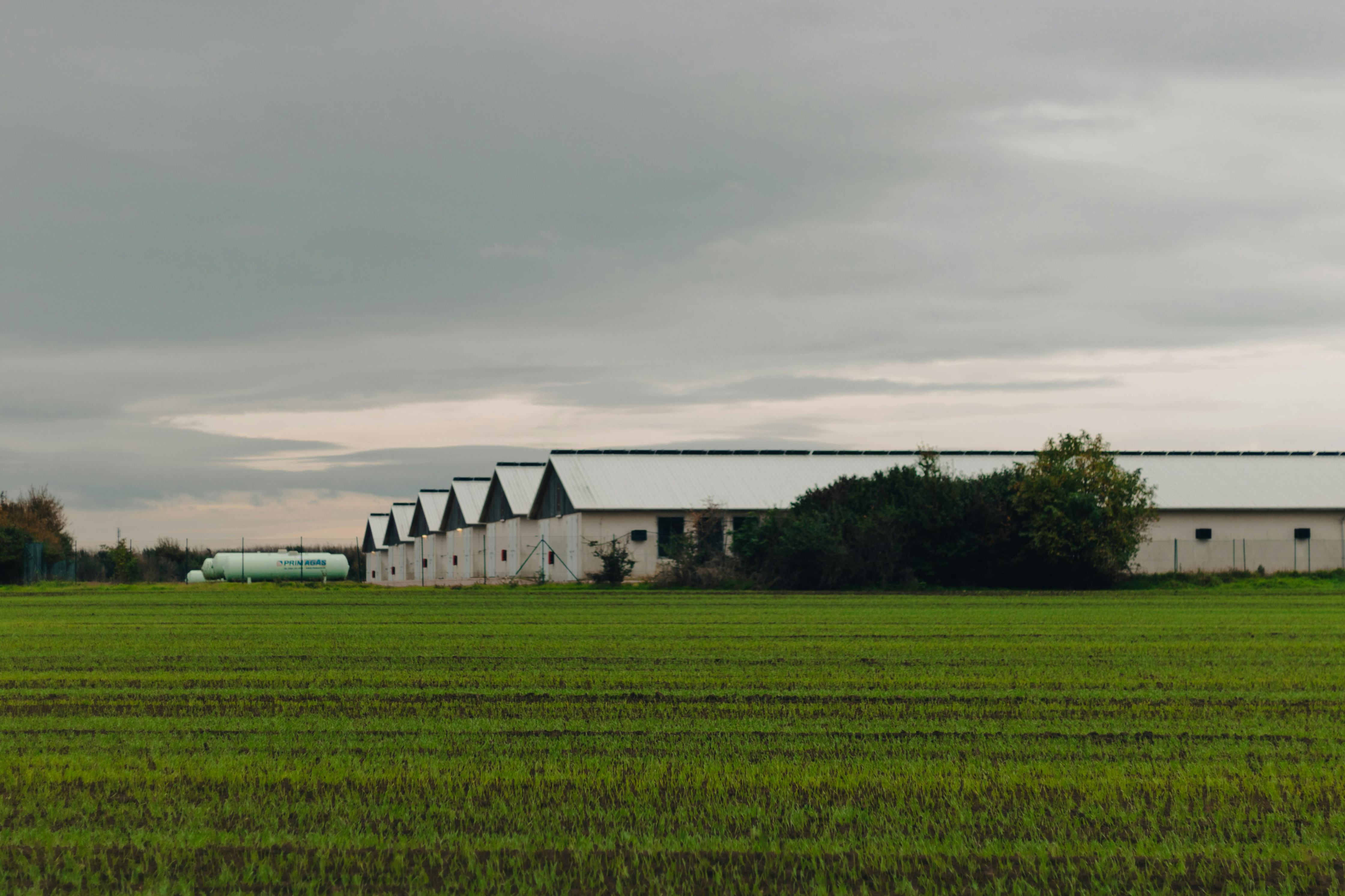 Land